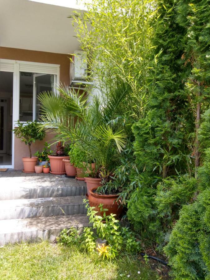 Bamboo Wellness Apartment Siofok Bagian luar foto