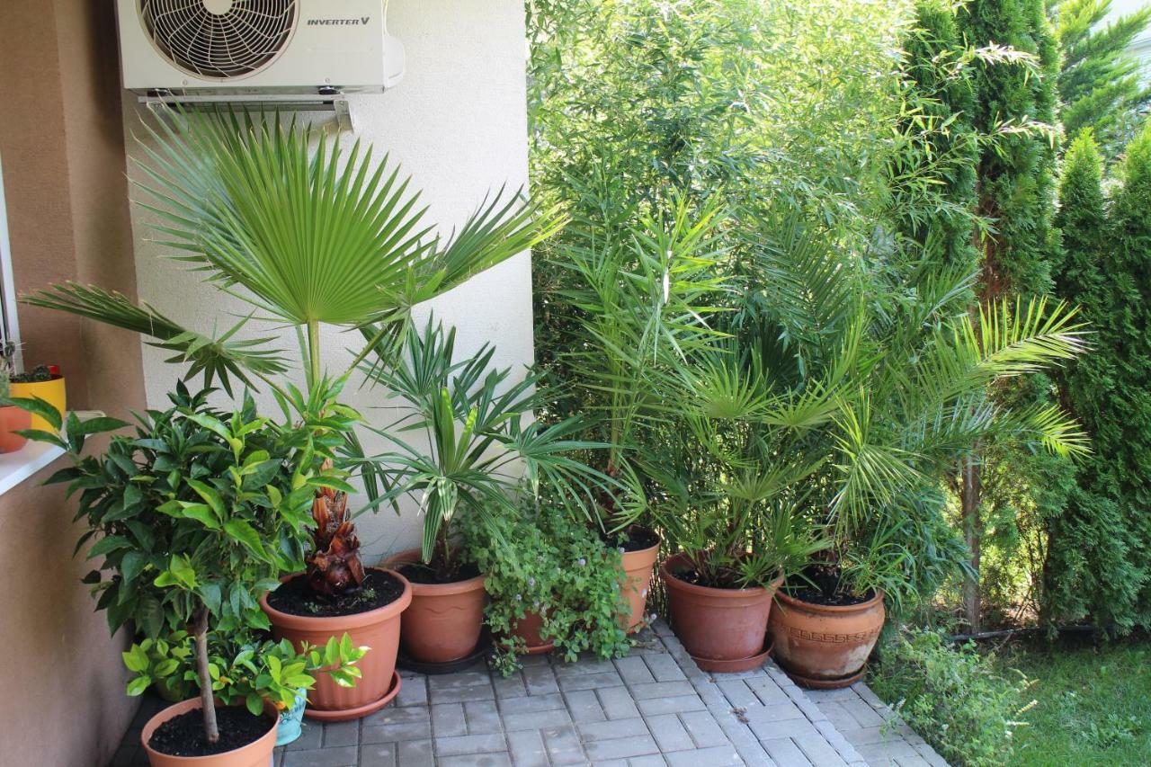 Bamboo Wellness Apartment Siofok Bagian luar foto